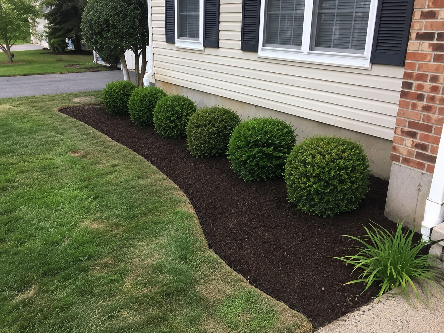 Fresh mulch install with rounded boxwood border